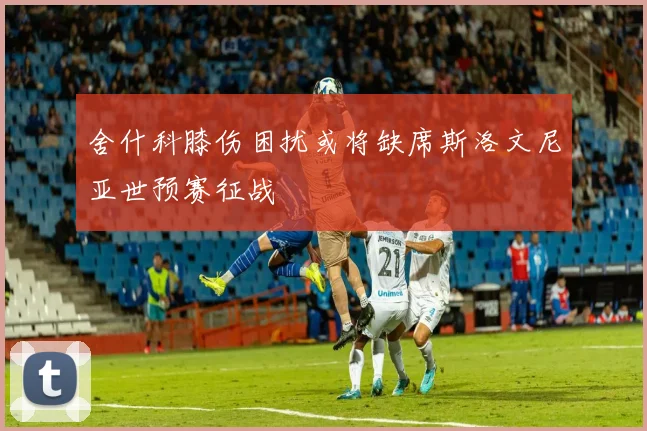 舍什科膝伤困扰或将缺席斯洛文尼亚世预赛征战