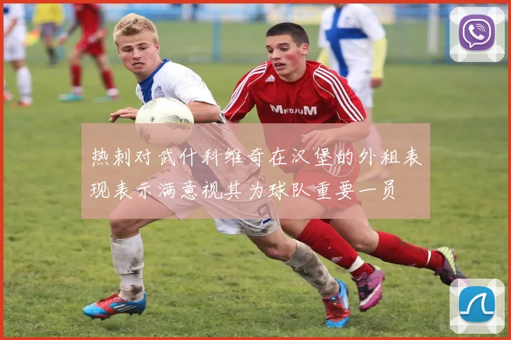 热刺对武什科维奇在汉堡的外租表现表示满意视其为球队重要一员