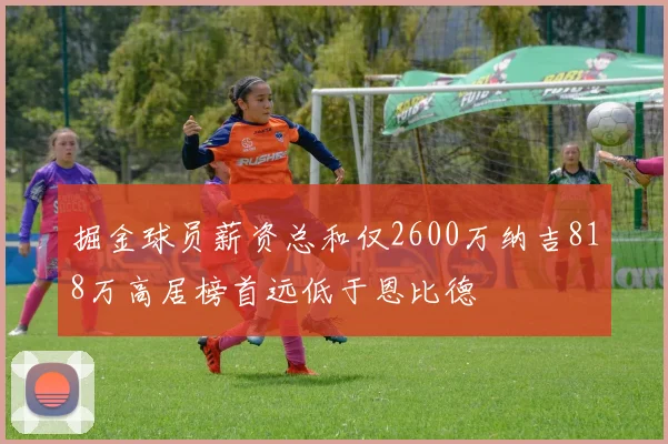 掘金球员薪资总和仅2600万纳吉818万高居榜首远低于恩比德