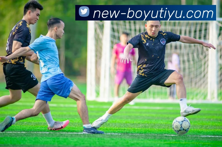 博鱼体育平台生态图